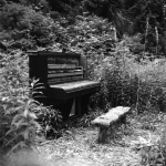 piano-in-the-woods-9-6