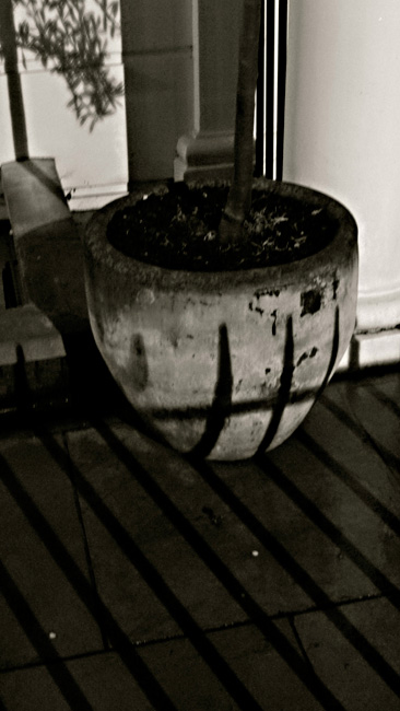 sinister-plant-pot