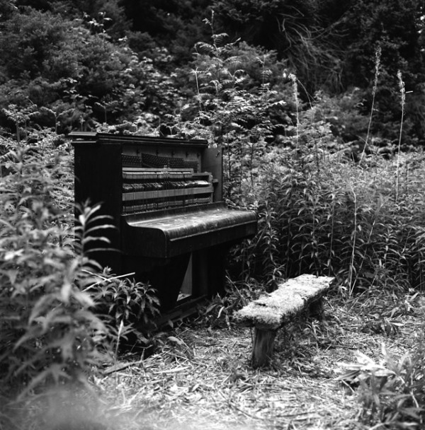 piano-in-the-woods-9.6.13_0007