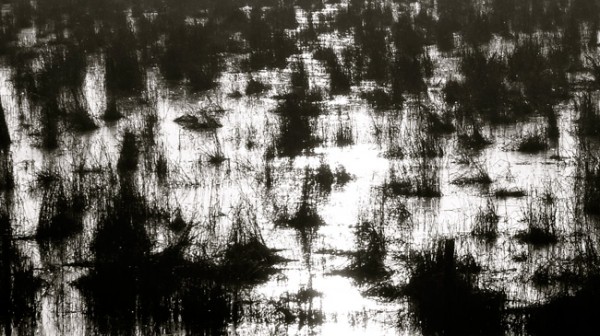 abstract-landscape-1