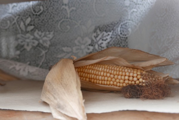still-life-with-corn