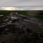 Black Earth, Big skies