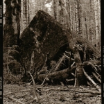 big-rock-1