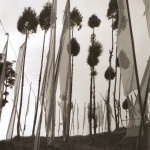 sikkim-flags-2
