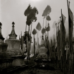 sikkim-monastery-in-the-mist