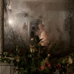 Dee-through-the-glass-darkly