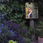 lins-in-the-garden