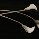 kenro-lillies